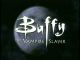 Buffy the Vampire Slayer